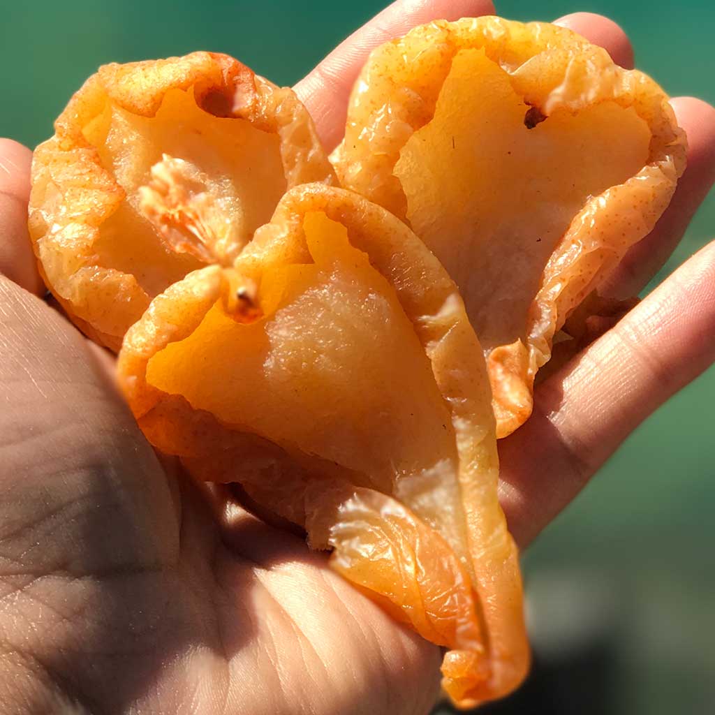 Sun-dried Pears